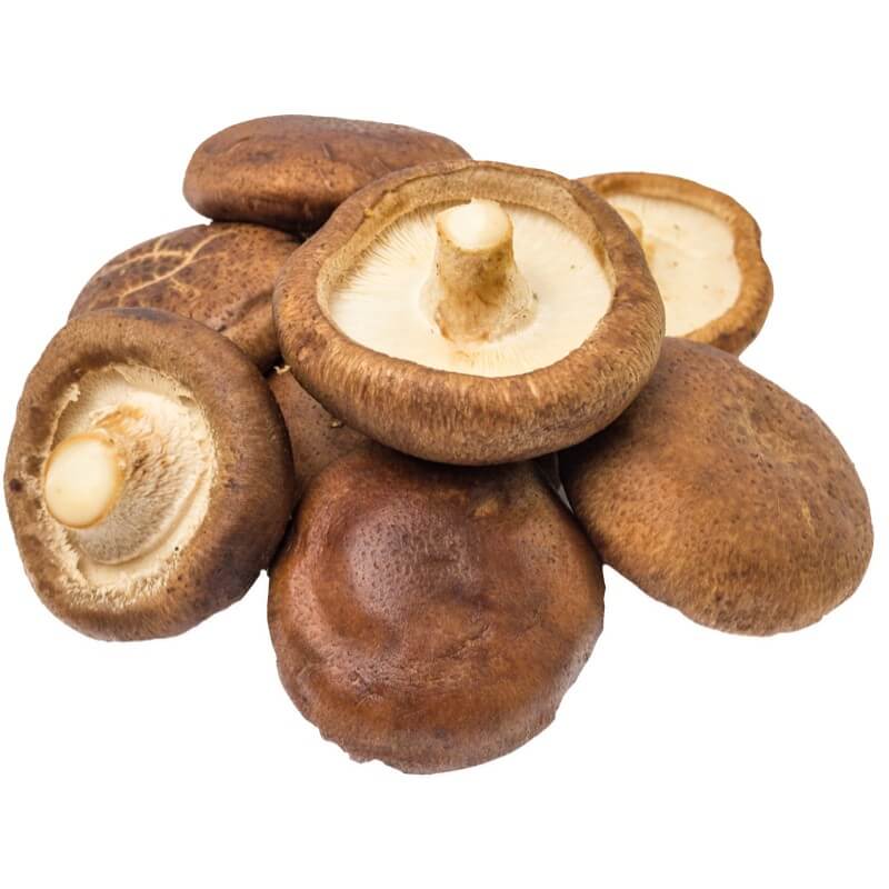 Organic Mushroom